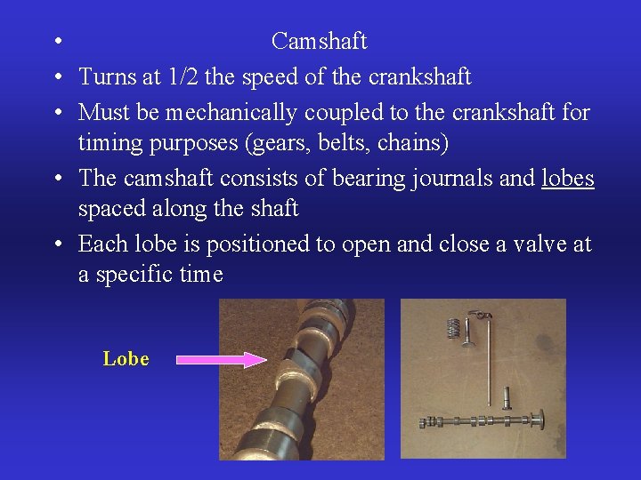  • Camshaft • Turns at 1/2 the speed of the crankshaft • Must