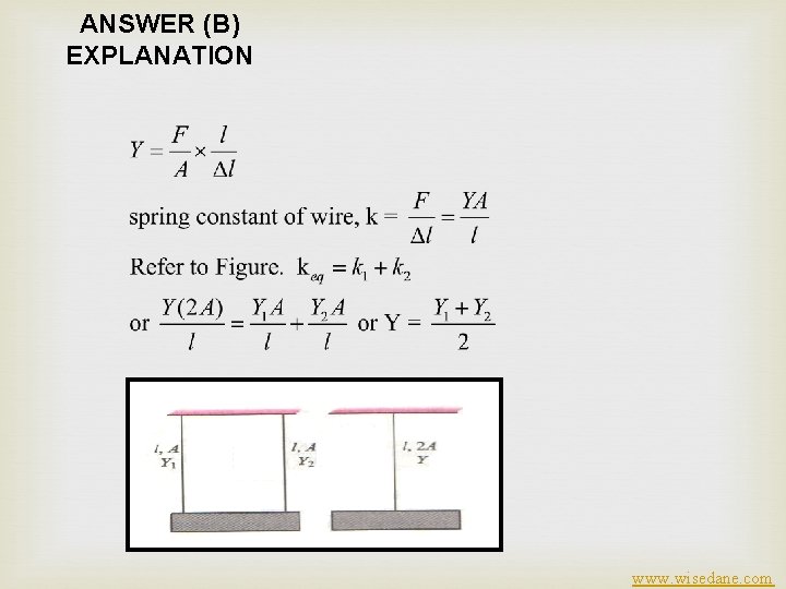 ANSWER (B) EXPLANATION www. wisedane. com 