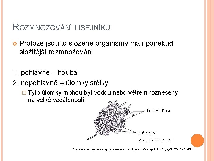 ROZMNOŽOVÁNÍ LIŠEJNÍKŮ Protože jsou to složené organismy mají poněkud složitější rozmnožování 1. pohlavně –