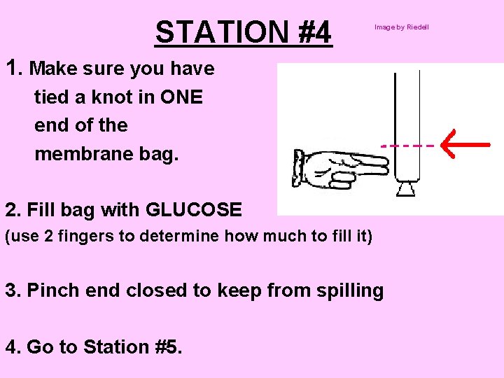 STATION #4 Image by Riedell 1. Make sure you have tied a knot in