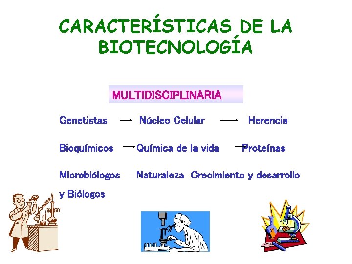 CARACTERÍSTICAS DE LA BIOTECNOLOGÍA MULTIDISCIPLINARIA Genetistas Núcleo Celular Bioquímicos Química de la vida Microbiólogos