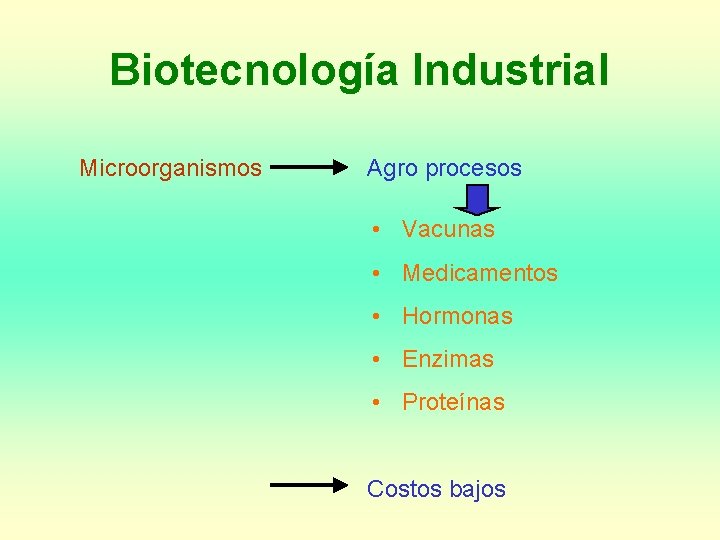 Biotecnología Industrial Microorganismos Agro procesos • Vacunas • Medicamentos • Hormonas • Enzimas •