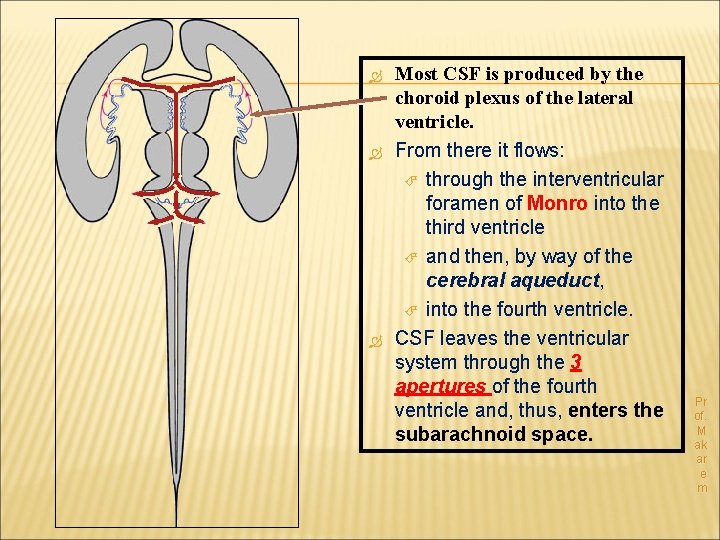  Most CSF is produced by the choroid plexus of the lateral ventricle. From