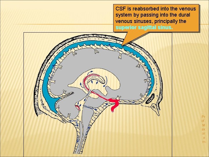 CSF is reabsorbed into the venous system by passing into the dural venous sinuses,