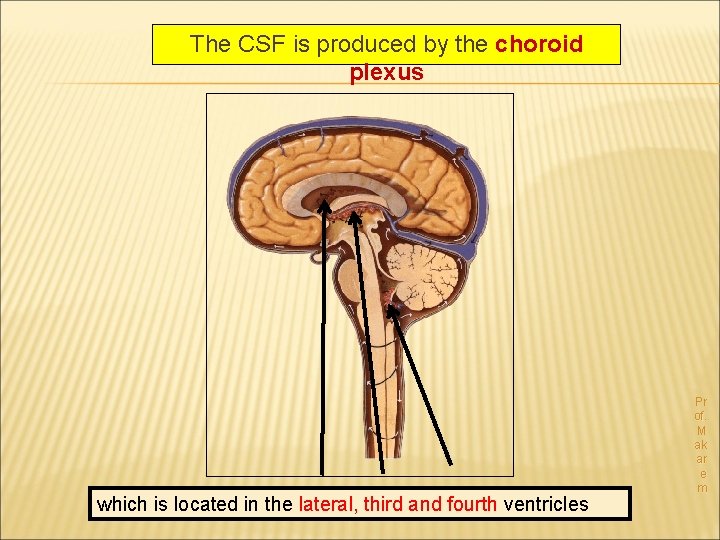 The CSF is produced by the choroid plexus which is located in the lateral,