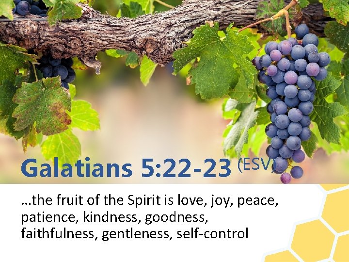 Galatians 5: 22 -23 (ESV) …the fruit of the Spirit is love, joy, peace,