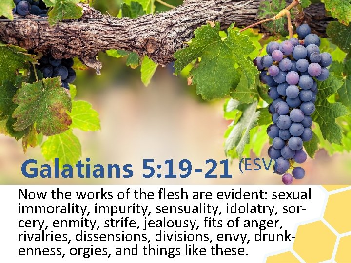 Galatians 5: 19 -21 (ESV) Now the works of the flesh are evident: sexual