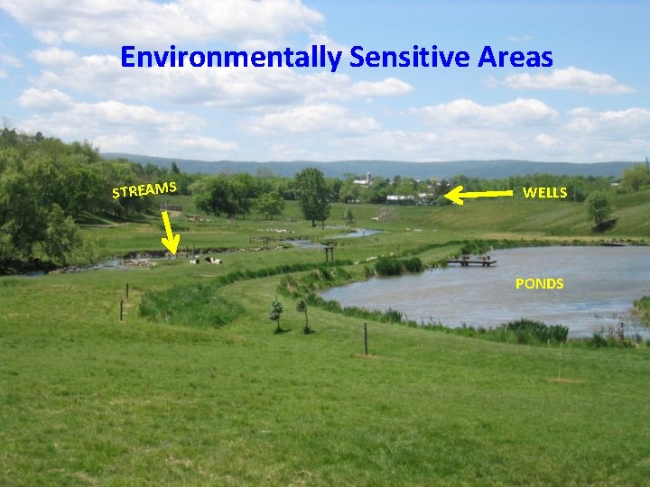 Environmentally Sensitive Areas STREAMS WELLS PONDS 