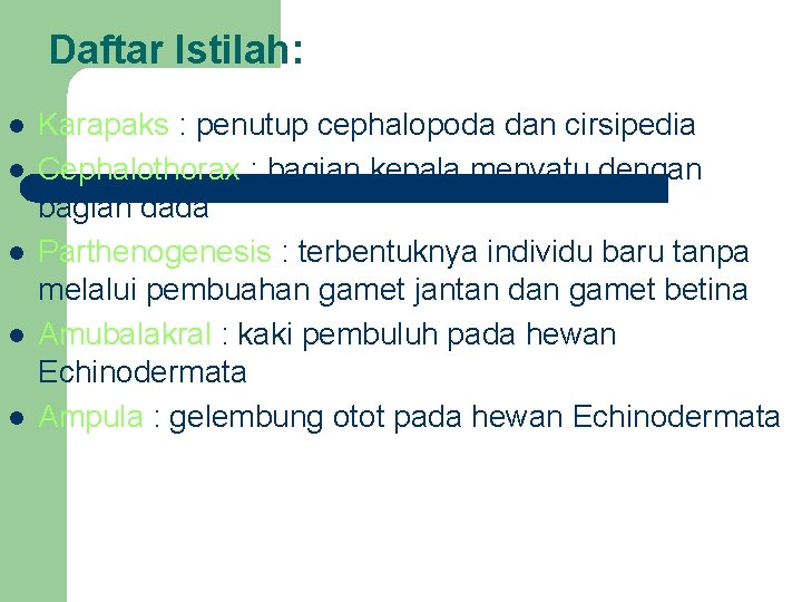 Daftar Istilah: l l l Karapaks : penutup cephalopoda dan cirsipedia Cephalothorax : bagian