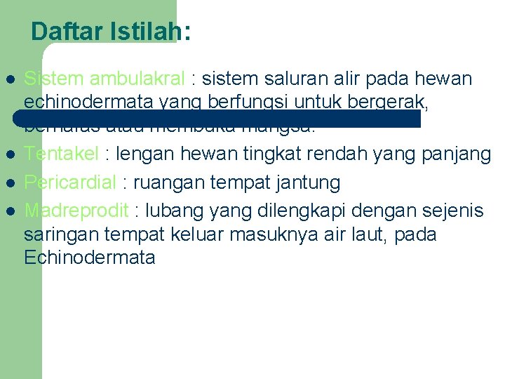 Daftar Istilah: l l Sistem ambulakral : sistem saluran alir pada hewan echinodermata yang