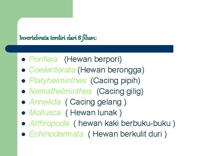 Invertebrata terdiri dari 8 filum: l l l l Porifera (Hewan berpori) Coelenterata (Hewan