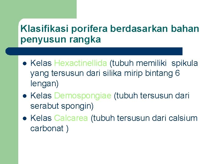 Klasifikasi porifera berdasarkan bahan penyusun rangka l l l Kelas Hexactinellida (tubuh memiliki spikula