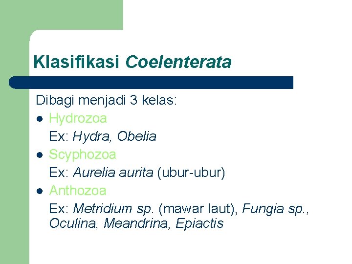 Klasifikasi Coelenterata Dibagi menjadi 3 kelas: l Hydrozoa Ex: Hydra, Obelia l Scyphozoa Ex: