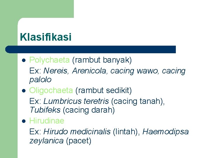 Klasifikasi l l l Polychaeta (rambut banyak) Ex: Nereis, Arenicola, cacing wawo, cacing palolo