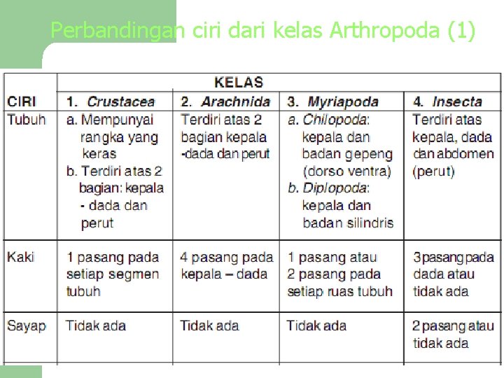 Perbandingan ciri dari kelas Arthropoda (1) 
