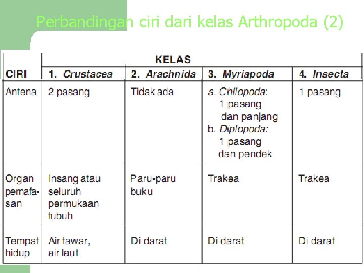 Perbandingan ciri dari kelas Arthropoda (2) 