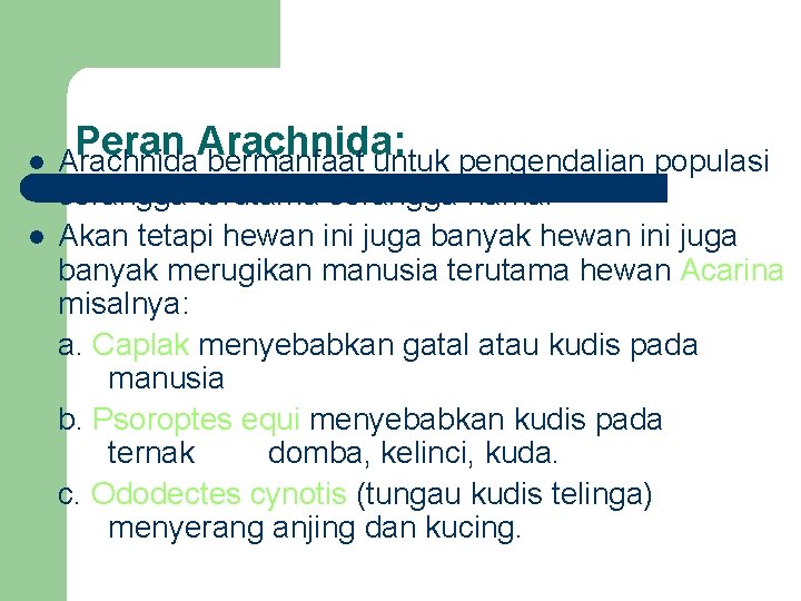 l l Peran Arachnida: Arachnida bermanfaat untuk pengendalian populasi serangga terutama serangga hama. Akan