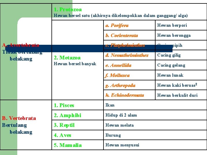 1. Protozoa Hewan bersel satu (akhirnya dikelompokkan dalam gang/ alga) A. Avertebrata Tidak bertulang