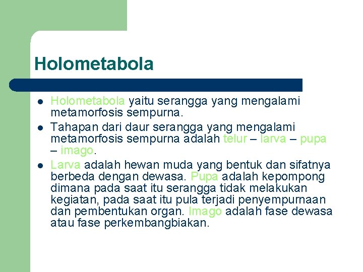 Holometabola l l l Holometabola yaitu serangga yang mengalami metamorfosis sempurna. Tahapan dari daur