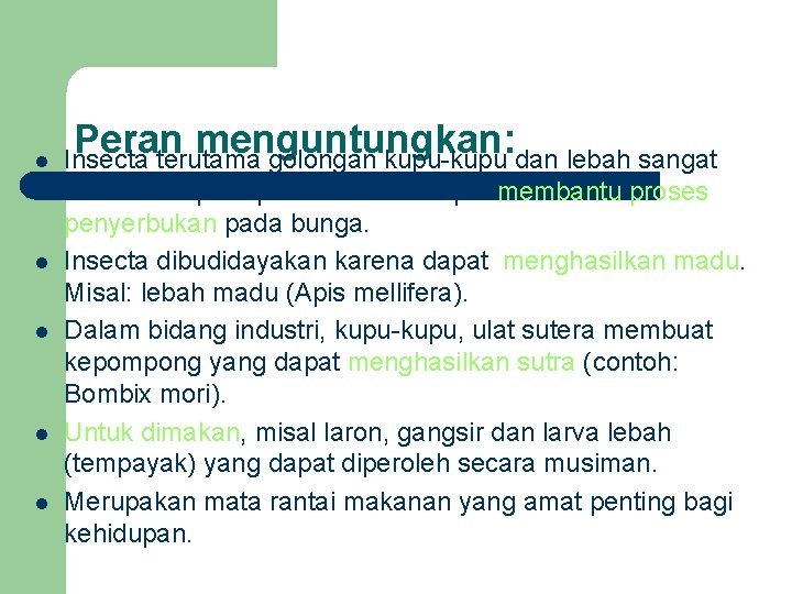 l l l Peran menguntungkan: Insecta terutama golongan kupu-kupu dan lebah sangat membantu para