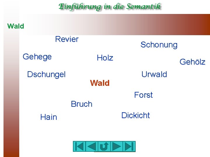 Wald Revier Schonung Gehege Dschungel Holz Wald Bruch Hain Gehölz Urwald Forst Dickicht 