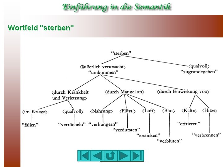 Wortfeld "sterben" 