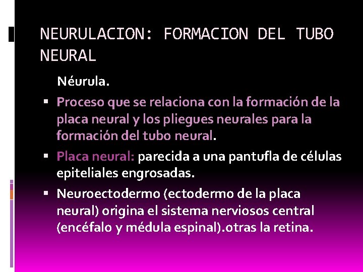 NEURULACION: FORMACION DEL TUBO NEURAL Néurula. Proceso que se relaciona con la formación de