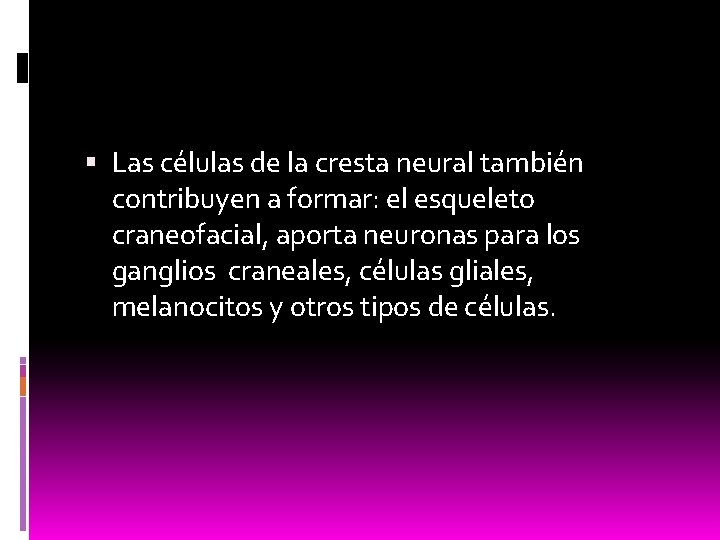  Las células de la cresta neural también contribuyen a formar: el esqueleto craneofacial,