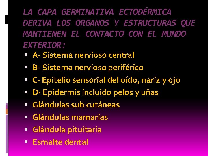 LA CAPA GERMINATIVA ECTODÉRMICA DERIVA LOS ORGANOS Y ESTRUCTURAS QUE MANTIENEN EL CONTACTO CON