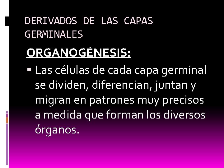 DERIVADOS DE LAS CAPAS GERMINALES ORGANOGÉNESIS: Las células de cada capa germinal se dividen,