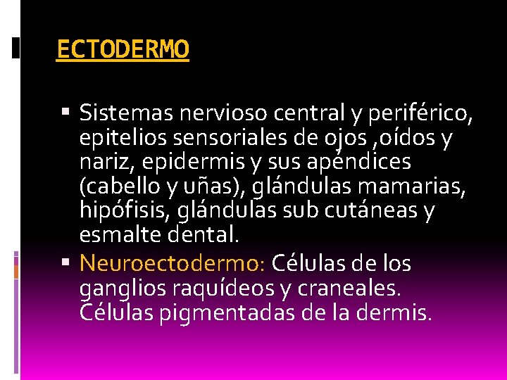 ECTODERMO Sistemas nervioso central y periférico, epitelios sensoriales de ojos , oídos y nariz,