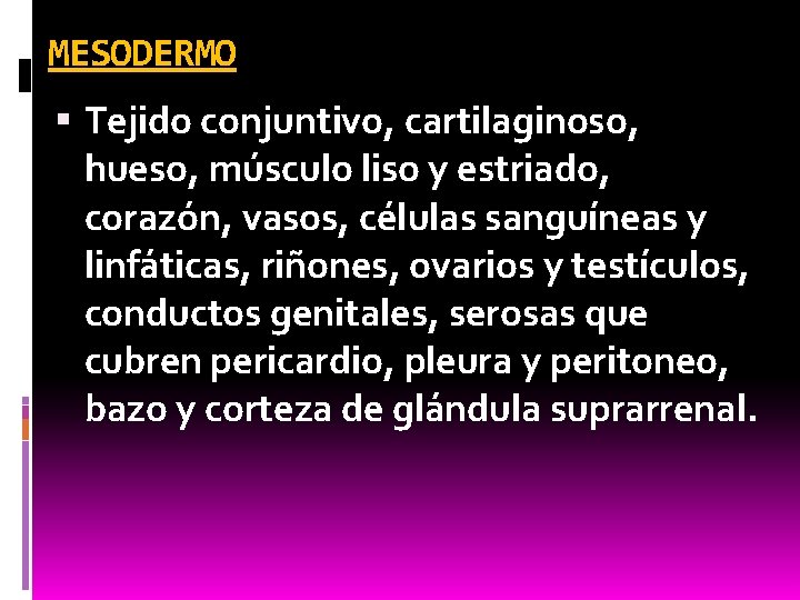 MESODERMO Tejido conjuntivo, cartilaginoso, hueso, músculo liso y estriado, corazón, vasos, células sanguíneas y