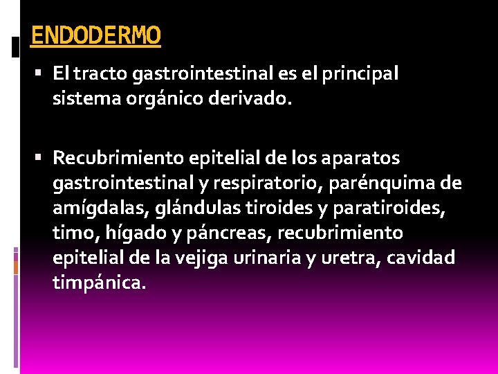 ENDODERMO El tracto gastrointestinal es el principal sistema orgánico derivado. Recubrimiento epitelial de los