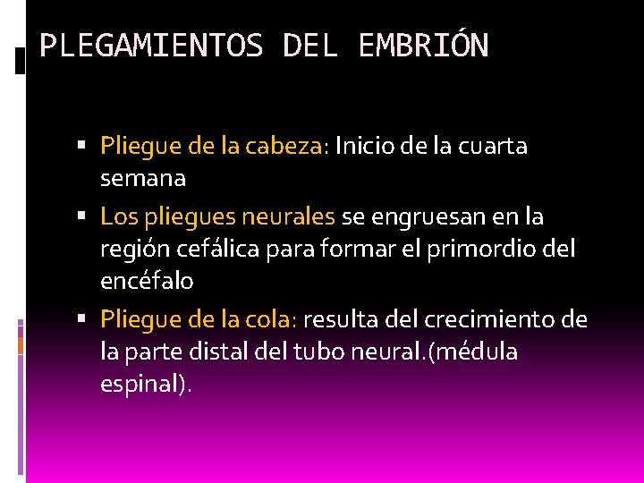 PLEGAMIENTOS DEL EMBRIÓN Pliegue de la cabeza: Inicio de la cuarta semana Los pliegues