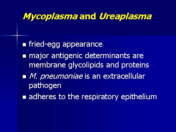 Mycoplasma and Ureaplasma fried-egg appearance n major antigenic determinants are membrane glycolipids and proteins