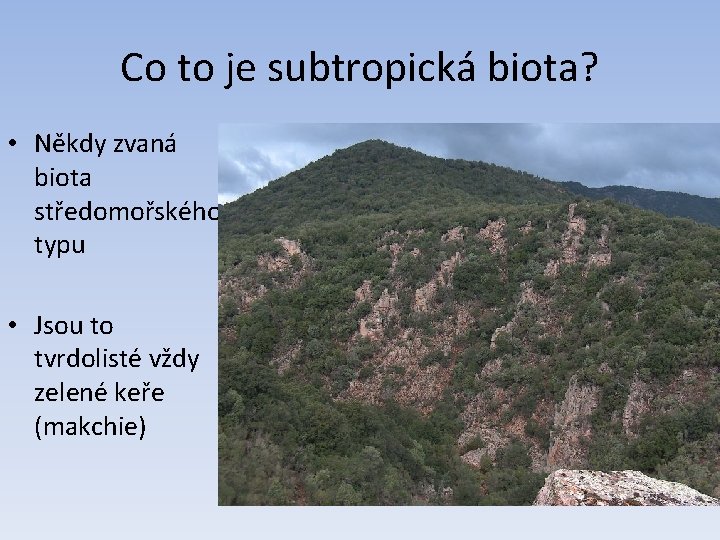 Co to je subtropická biota? • Někdy zvaná biota středomořského typu • Jsou to