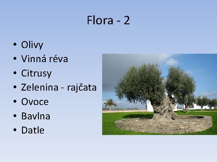 Flora - 2 • • Olivy Vinná réva Citrusy Zelenina - rajčata Ovoce Bavlna