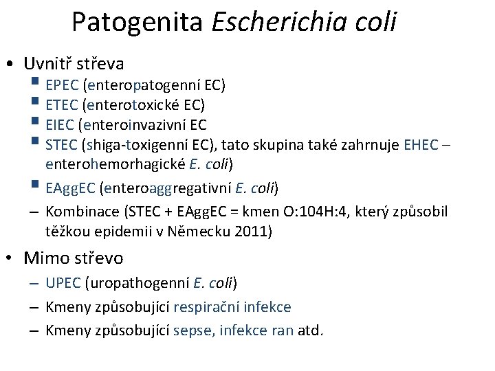 Patogenita Escherichia coli • Uvnitř střeva § EPEC (enteropatogenní EC) § ETEC (enterotoxické EC)