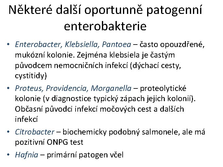 Některé další oportunně patogenní enterobakterie • Enterobacter, Klebsiella, Pantoea – často opouzdřené, mukózní kolonie.