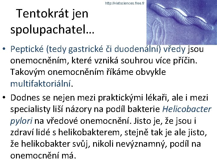 Tentokrát jen spolupachatel… http: //vietsciences. free. fr • Peptické (tedy gastrické či duodenální) vředy