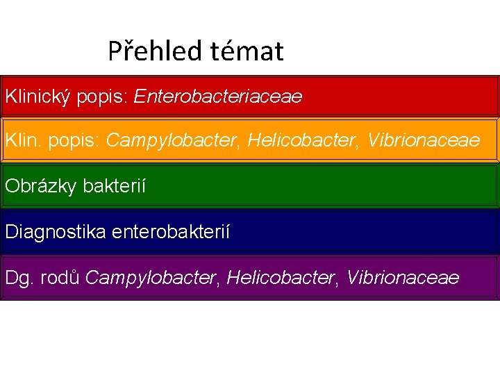 Přehled témat Klinický popis: Enterobacteriaceae Klin. popis: Campylobacter, Helicobacter, Vibrionaceae Obrázky bakterií Diagnostika enterobakterií