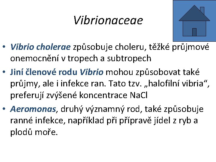 Vibrionaceae • Vibrio cholerae způsobuje choleru, těžké průjmové onemocnění v tropech a subtropech •