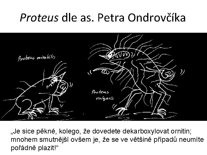 Proteus dle as. Petra Ondrovčíka „Je sice pěkné, kolego, že dovedete dekarboxylovat ornitin; mnohem