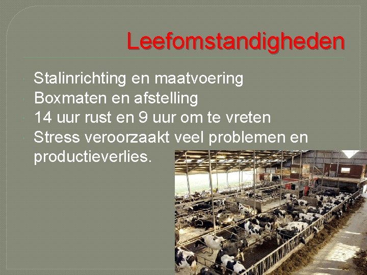 Leefomstandigheden Stalinrichting en maatvoering Boxmaten en afstelling 14 uur rust en 9 uur om