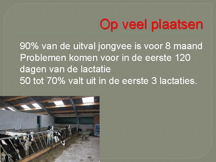 Op veel plaatsen 90% van de uitval jongvee is voor 8 maand Problemen komen