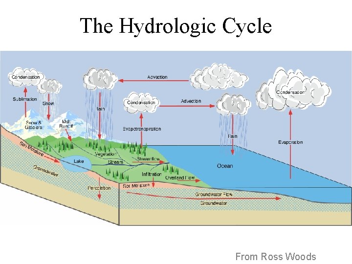 The Hydrologic Cycle From Ross Woods 