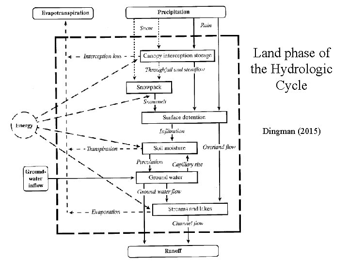 Land phase of the Hydrologic Cycle Dingman (2015) 