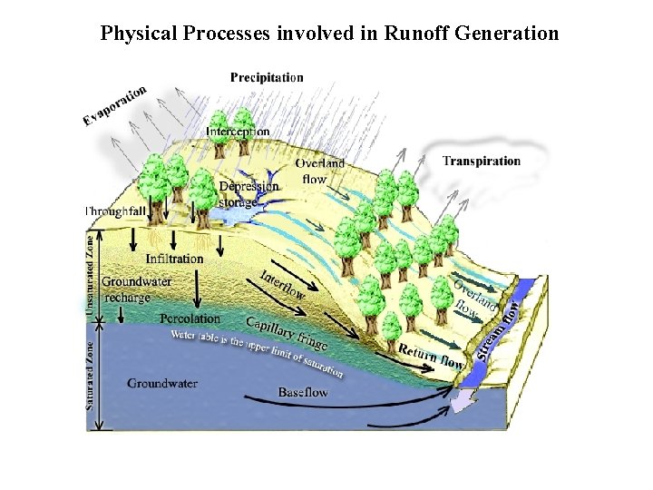 Physical Processes involved in Runoff Generation 