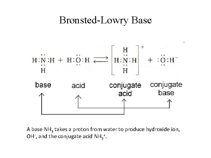 Brønsted-Lowry Base A base NH 3 takes a proton from water to produce hydroxide
