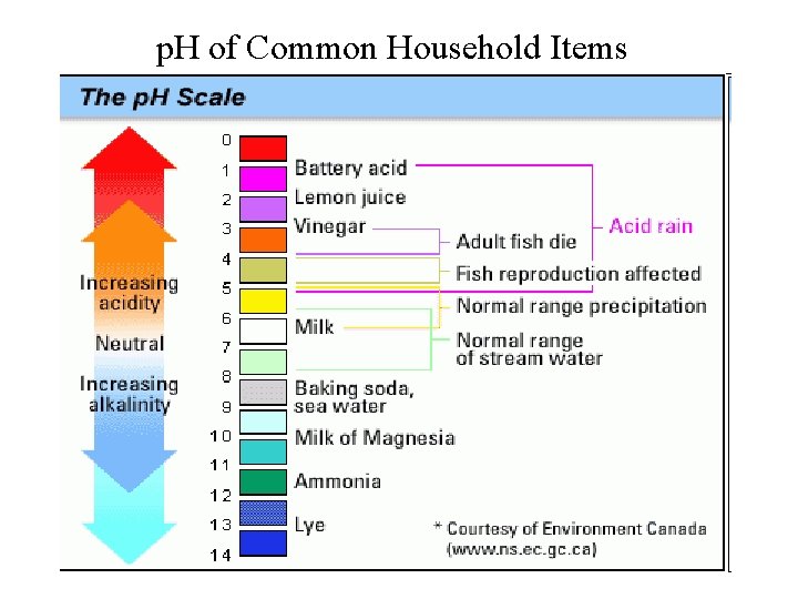 p. H of Common Household Items 